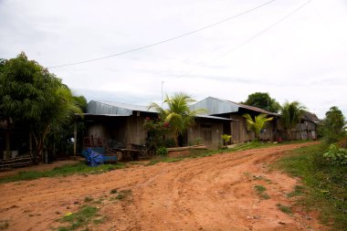 Peru 'nun Amazon bölgesinde Yurimaguas şehrine yakın bir kasabadaki caddelerden ve evlerden görüntüler.