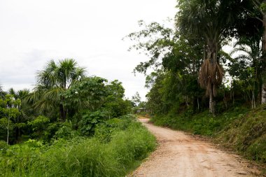 Peru 'nun Amazon bölgesinde Yurimaguas şehrine yakın bir kasabadaki caddelerden ve evlerden görüntüler.