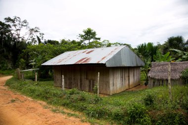 Peru 'nun Amazon bölgesinde Yurimaguas şehrine yakın bir kasabadaki caddelerden ve evlerden görüntüler.