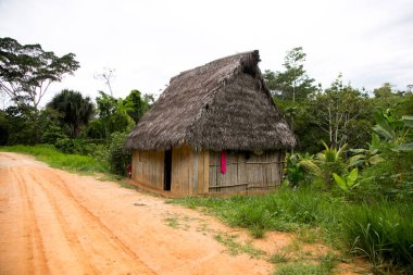 Peru 'nun Amazon bölgesinde Yurimaguas şehrine yakın bir kasabadaki caddelerden ve evlerden görüntüler.