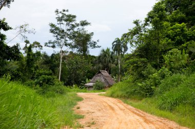 Peru 'nun Amazon bölgesinde Yurimaguas şehrine yakın bir kasabadaki caddelerden ve evlerden görüntüler.