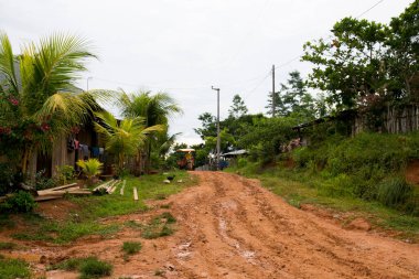 Peru 'nun Amazon bölgesinde Yurimaguas şehrine yakın bir kasabadaki caddelerden ve evlerden görüntüler.