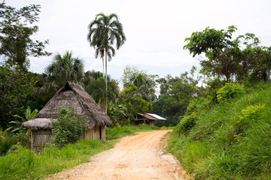 Peru 'nun Amazon bölgesinde Yurimaguas şehrine yakın bir kasabadaki caddelerden ve evlerden görüntüler.