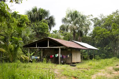 Peru 'nun Amazon bölgesinde Yurimaguas şehrine yakın bir kasabadaki caddelerden ve evlerden görüntüler.