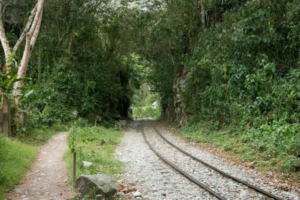 stock image Hiking from Santa Teresa Hidroelctrica to Aguas Calientes to reach Machupichu. Path following the train tracks with several hikers.