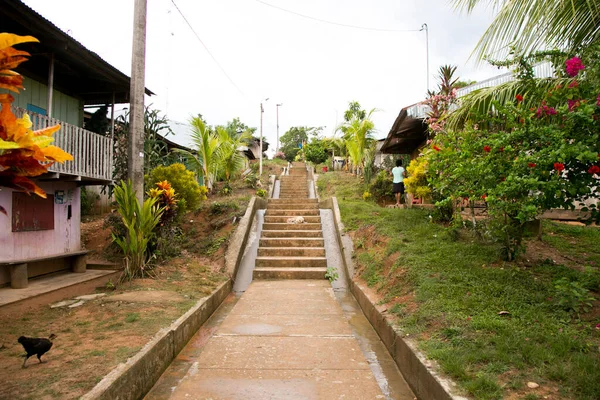 리마구 시에서 가까운 아마존강 유역에 마을의 거리와 들에서 수있는 — 스톡 사진