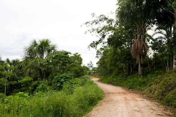 Vistas Das Ruas Casas Município Região Amazônica Peru Perto Cidade — Fotografia de Stock