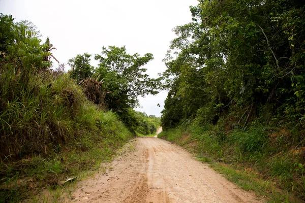 Vistas Desde Las Calles Casas Pueblo Región Amazónica Perú Cerca — Foto de Stock