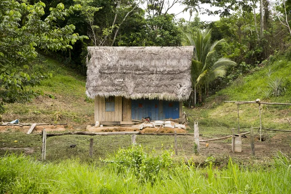 Widok Ulic Domów Mieście Regionie Amazonii Peru Pobliżu Miasta Yurimaguas — Zdjęcie stockowe