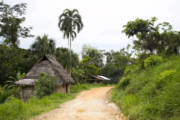 Vue Depuis Les Rues Les Maisons Une Ville Région Amazonienne — Photo