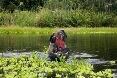 Cuipari, Peru; 1 Ekim 2022: Peru ormanında çalışan balıkçı. Cuipari Gölü.