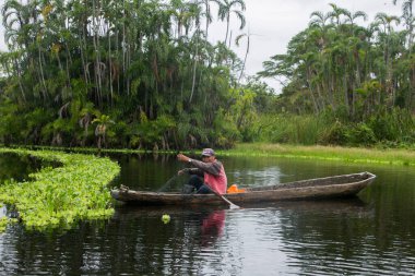 Cuipari, Peru; 1 Ekim 2022: Peru ormanında çalışan balıkçı. Cuipari Gölü.