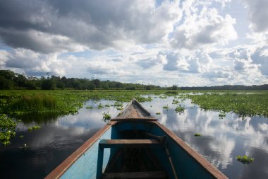 Peru Ormanı 'ndaki Cuipari Gölü manzarası.