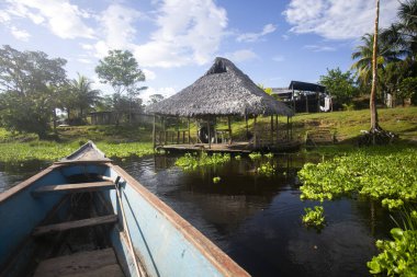 Peru Ormanı 'ndaki Cuipari Gölü manzarası.