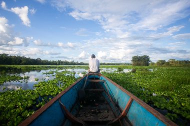 Peru Ormanı 'ndaki Cuipari Gölü manzarası.