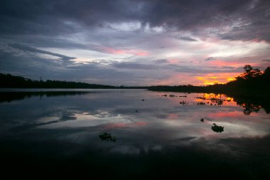 Peru Ormanı 'ndaki Cuipari Gölü' nden Sunset Views.