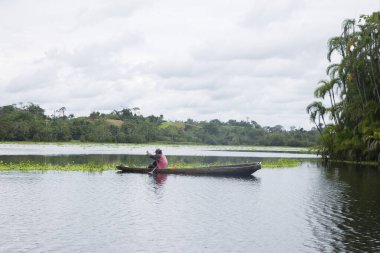 Peru Ormanı 'ndan bir gölde çalışan balıkçı..