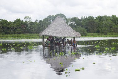 Peru Ormanı 'ndaki Cuipari Gölü manzarası.