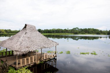 Peru Ormanı 'ndaki Cuipari Gölü manzarası.