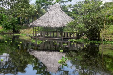 Peru Ormanı 'ndaki Cuipari Gölü manzarası.