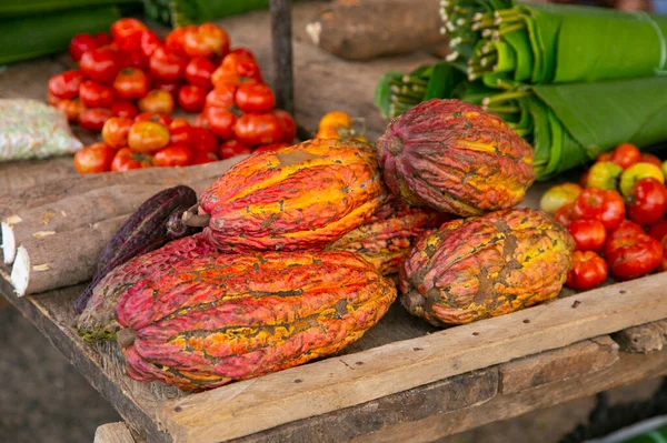 Detail Cocoa Pods Organic Cocoa Plantation Peruvian Jungle San Martn — Stock Photo, Image