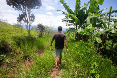 Moyobamba, Peru; 1 Ekim 2022: Peru ormanlarındaki tarlasında kahve çiftçisi.