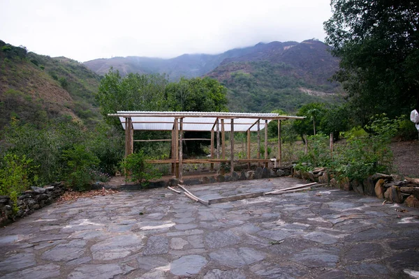 Plantacja Kawy Regionie Moyobamba Peruwiańskiej Dżungli — Zdjęcie stockowe