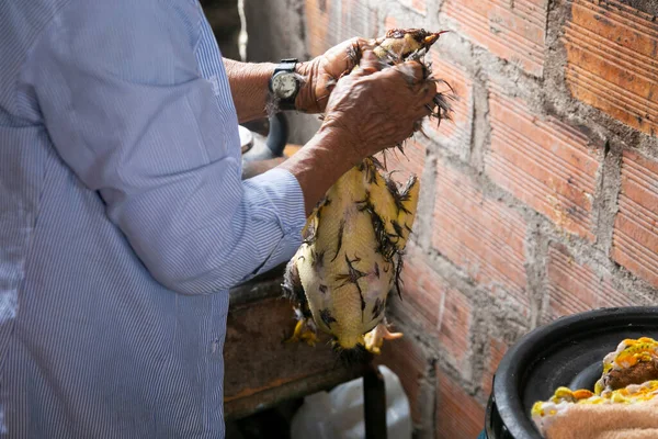 Cuipari Peru Outubro 2022 Uma Mulher Arrancando Frango Cozinhando Selva — Fotografia de Stock