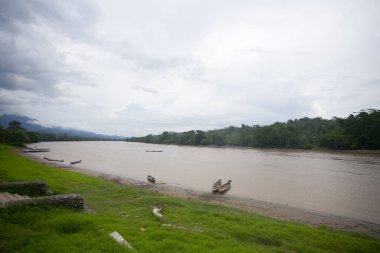 Huallaga Nehri, Peru ormanlarındaki Chazuta kasabasının yakınından geçiyor..