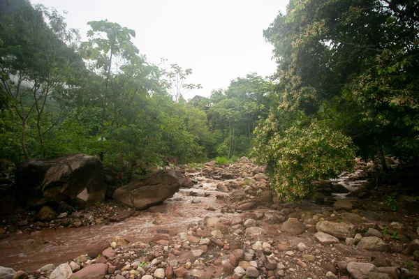Řeka Huallaga Protéká Nedaleko Města Chazuta Peruánské Džungli — Stock fotografie