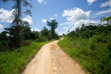 Tarapoto şehrinin yakınında yer alan Peru Amazon ormanlarının manzarası ve evleri.