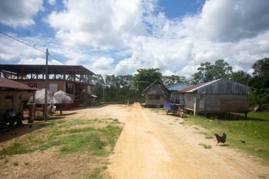 Tarapoto şehrinin yakınında yer alan Peru Amazon ormanlarının manzarası ve evleri.