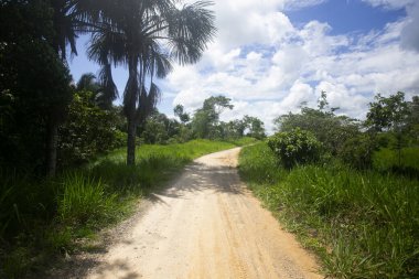 Tarapoto şehrinin yakınında yer alan Peru Amazon ormanlarının manzarası ve evleri.
