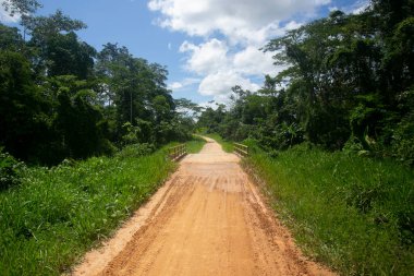 Tarapoto şehrinin yakınında yer alan Peru Amazon ormanlarının manzarası ve evleri.