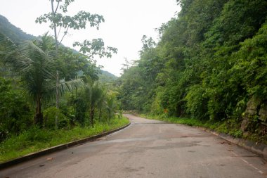 Tarapoto şehrinden Peru ormanlarındaki Chazuta kasabasına giden yol. Yağmurdan dolayı kötü yol.