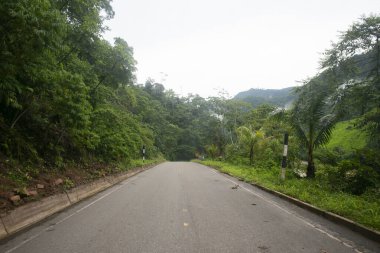 Tarapoto şehrinden Peru ormanlarındaki Chazuta kasabasına giden yol. Yağmurdan dolayı kötü yol.