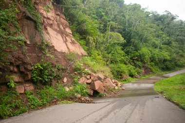 Tarapoto şehrinden Peru ormanlarındaki Chazuta kasabasına giden yol. Yağmurdan dolayı kötü yol.