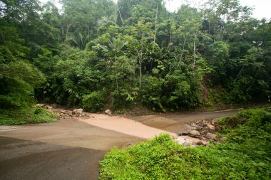 Tarapoto şehrinden Peru ormanlarındaki Chazuta kasabasına giden yol. Yağmurdan dolayı kötü yol.