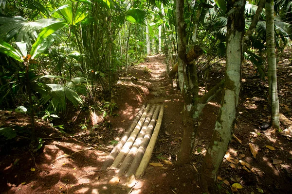 Utsikt Över Gator Och Hus Djungelregion Den Peruanska Amazonas Ligger — Stockfoto