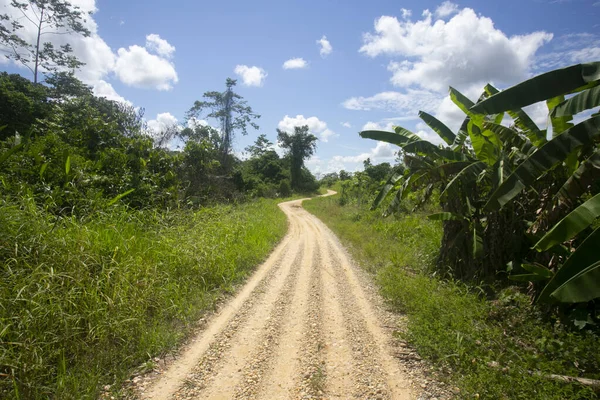 Vue Sur Les Rues Les Maisons Une Région Jungle Dans — Photo