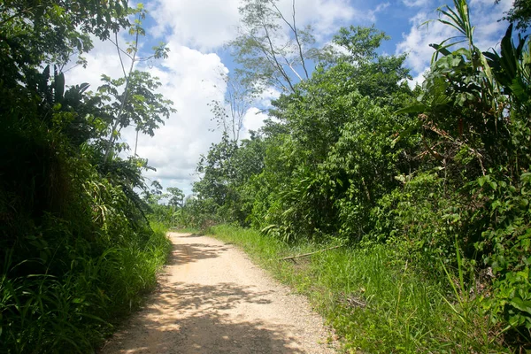 Vistas Das Ruas Casas Uma Região Selva Amazônia Peruana Localizada — Fotografia de Stock