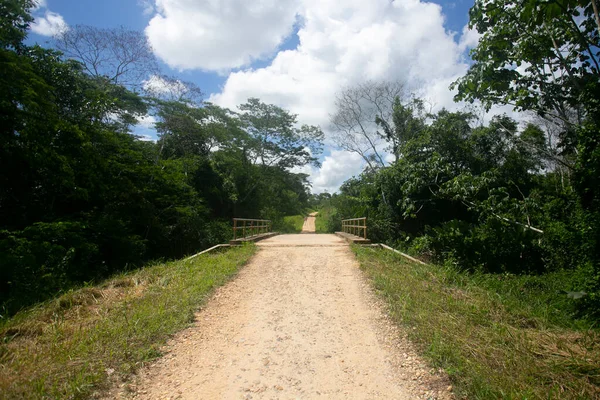Widok Ulice Domy Regionie Dżungli Peru Amazon Znajduje Się Pobliżu — Zdjęcie stockowe