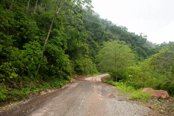 タラポト市からペルーのジャングルのチャズタ町への道 雨による悪路 — ストック写真