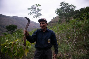 Santa Rosa, Peru; 1 Ekim 2022: Peru ormanındaki çiftliğinde bir çiftçi.