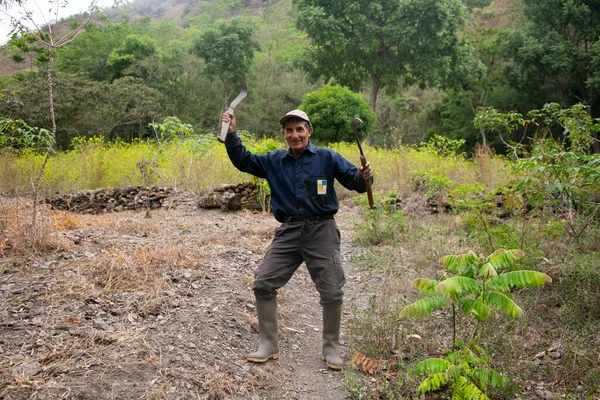 Santa Rosa Peru 1St October 2022 Farmer His Plantation Peruvian — Stock Photo, Image