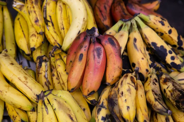 Разнообразие Перуанских Бананов Перуанских Джунглей Амазонке — стоковое фото