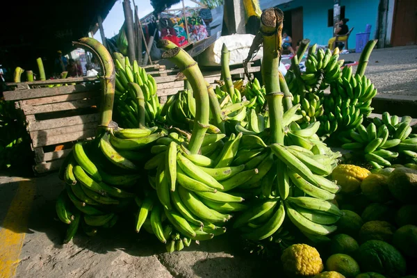 Variedad Plátano Peruano Selva Peruana Amazonas — Foto de Stock