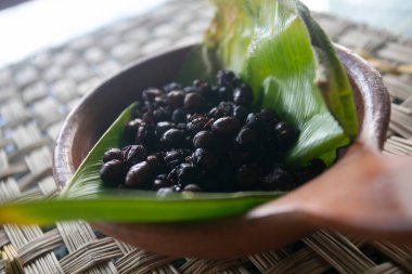 Mamaco, Peru ormanlarından gelen çok değerli ve yenilebilir bir karınca türüdür..