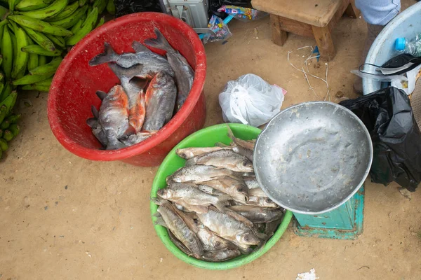 Fiskstånd Marknad Staden Yurimaguas Den Peruanska Djungeln — Stockfoto
