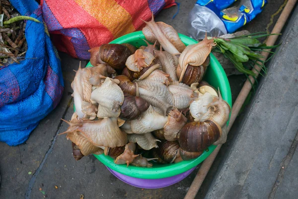 Reuzenslakken Een Emmer Een Tarapoto Markt Peruaanse Jungle — Stockfoto